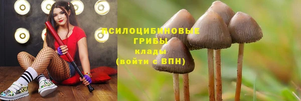 а пвп мука Аркадак