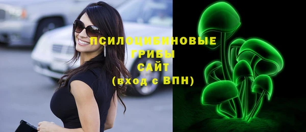 мяу мяу мука Арсеньев