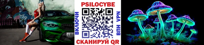 наркошоп  Камбарка  Псилоцибиновые грибы Psilocybine cubensis 